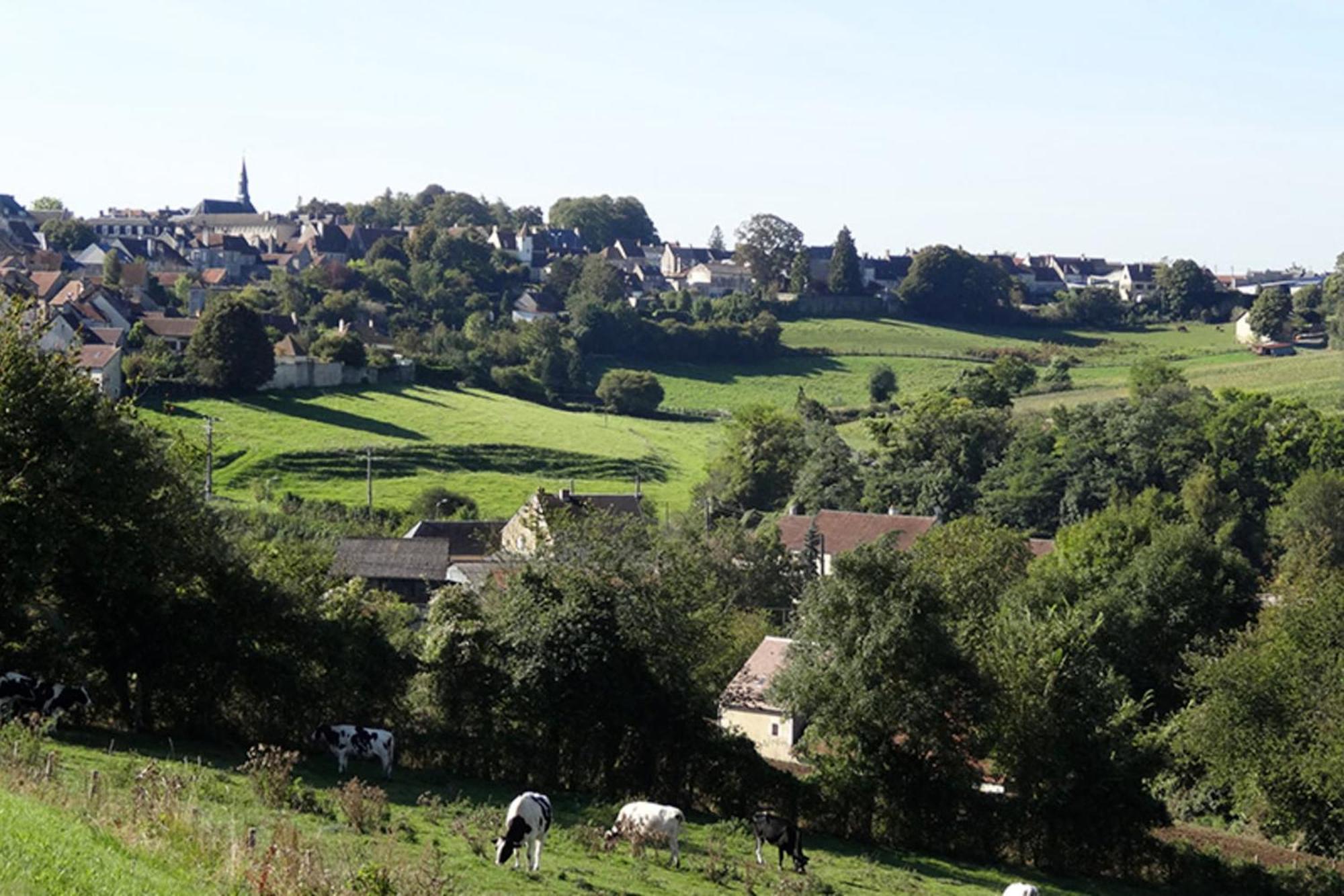 Appartement Le Souffle De L'Orge Mortagne-au-Perche Exteriér fotografie